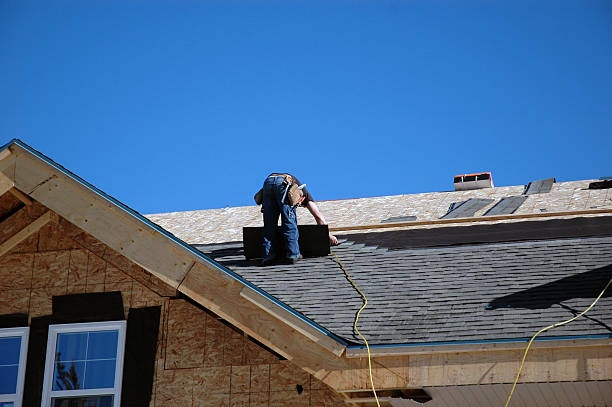 Best Local Roofing Companies  in Lake Holm, WA