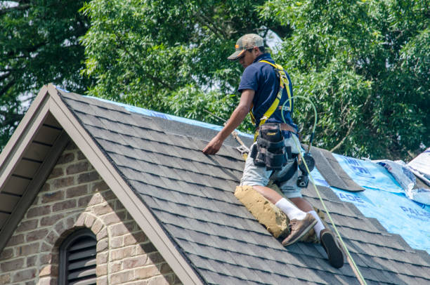 Best Roof Repair Services  in Lake Holm, WA
