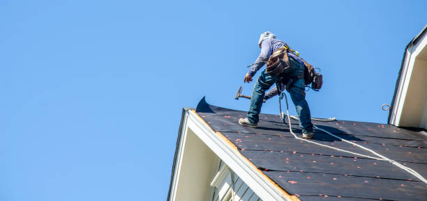 Best Metal Roofing Contractor  in Lake Holm, WA