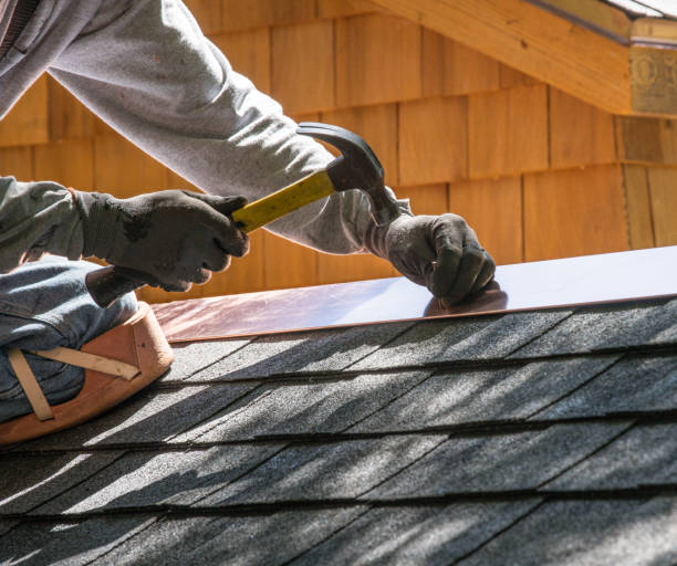 Best Roof Gutter Cleaning  in Lake Holm, WA